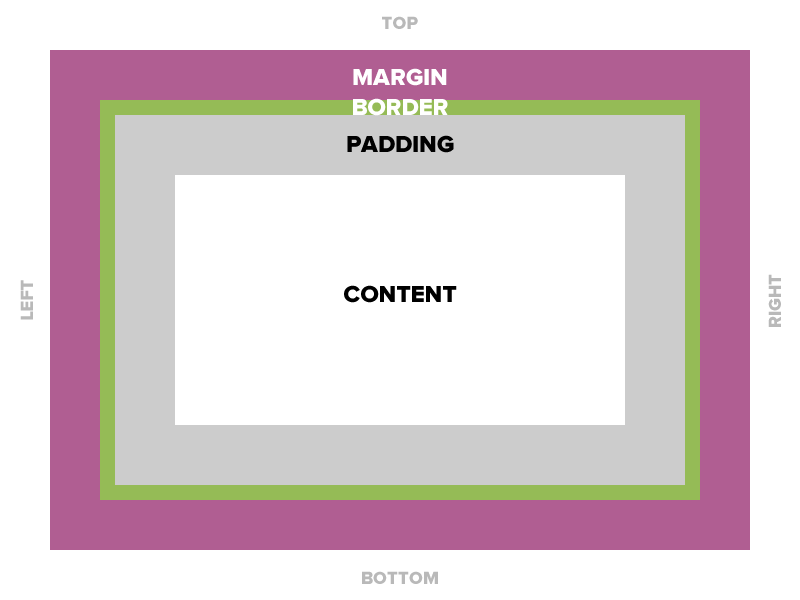 Graphic illustrating box model, border highlighted